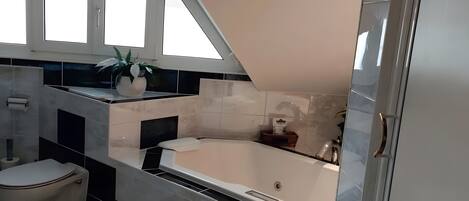 Shower, hair dryer, towels