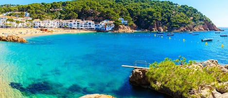 Sun-loungers, beach towels