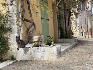 Jardines del alojamiento