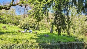 A natural landscape with trees, grass, and a stone structure. - Villa Marina - Immersed in Nature (Cavaso del Tomba)