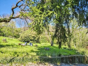 A natural landscape with trees, grass, and a stone structure. - Villa Marina - Immersed in Nature (Cavaso del Tomba)