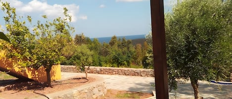 Terassi/patio