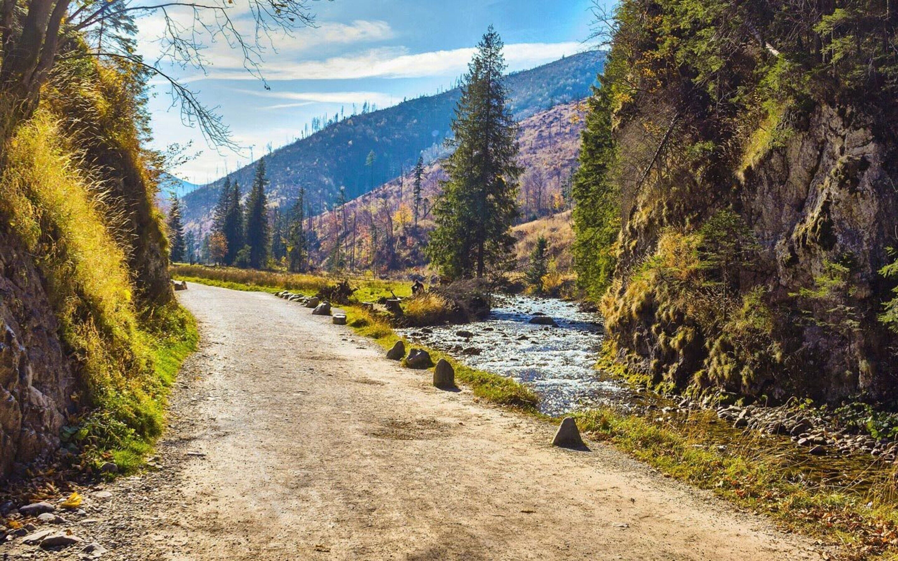En grussti mellem træer og en flod, der fører ind i et bjergområde.