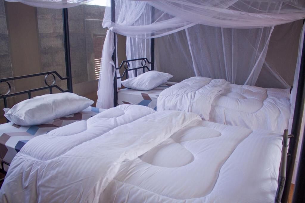 A room with a bed under a canopy, a window with blinds, and a metal bed frame.