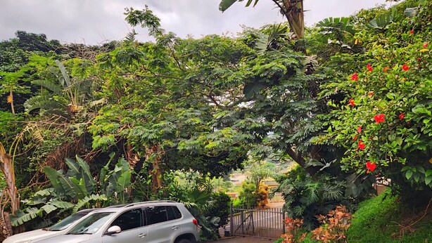 A silver SUV parked on a paved path surrounded by lush greenery and flowering plants.