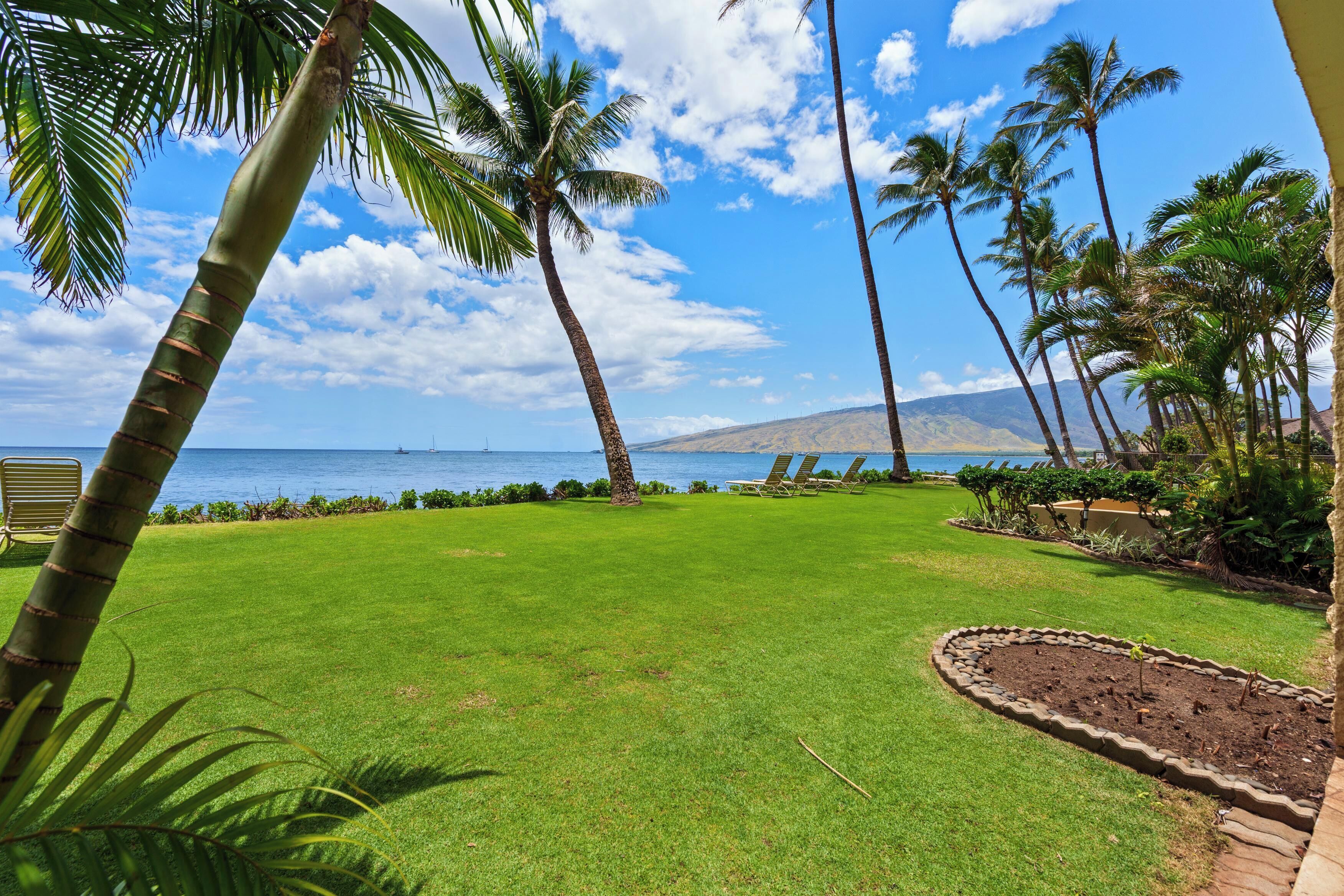 A well-maintained lawn with palm trees and a view of the ocean.