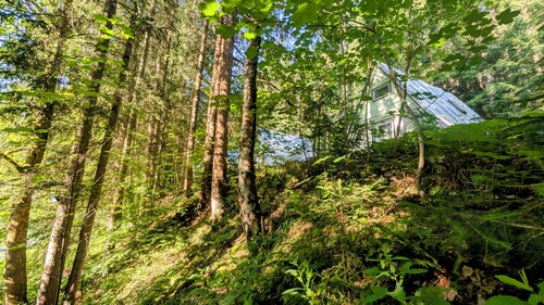 Cozy hut ''Fuchsbau'' in the middle of the forest. Pet friendly!