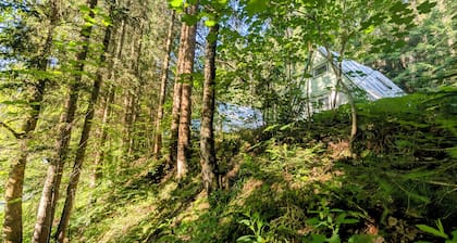 Cozy hut ''Fuchsbau'' in the middle of the forest. Pet friendly!