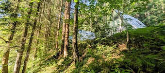 Cozy hut ''Fuchsbau'' in the middle of the forest. Pet friendly!