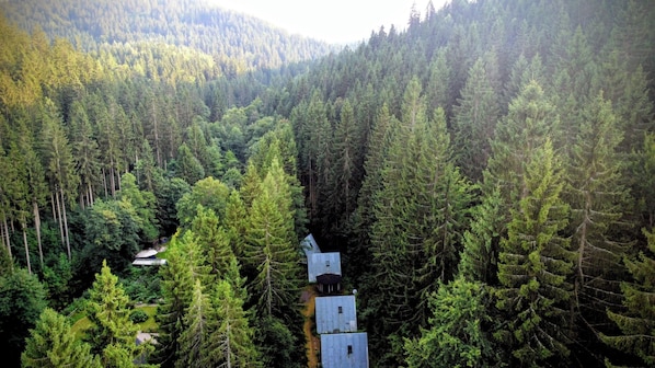 A forested area with a small cabin structure.