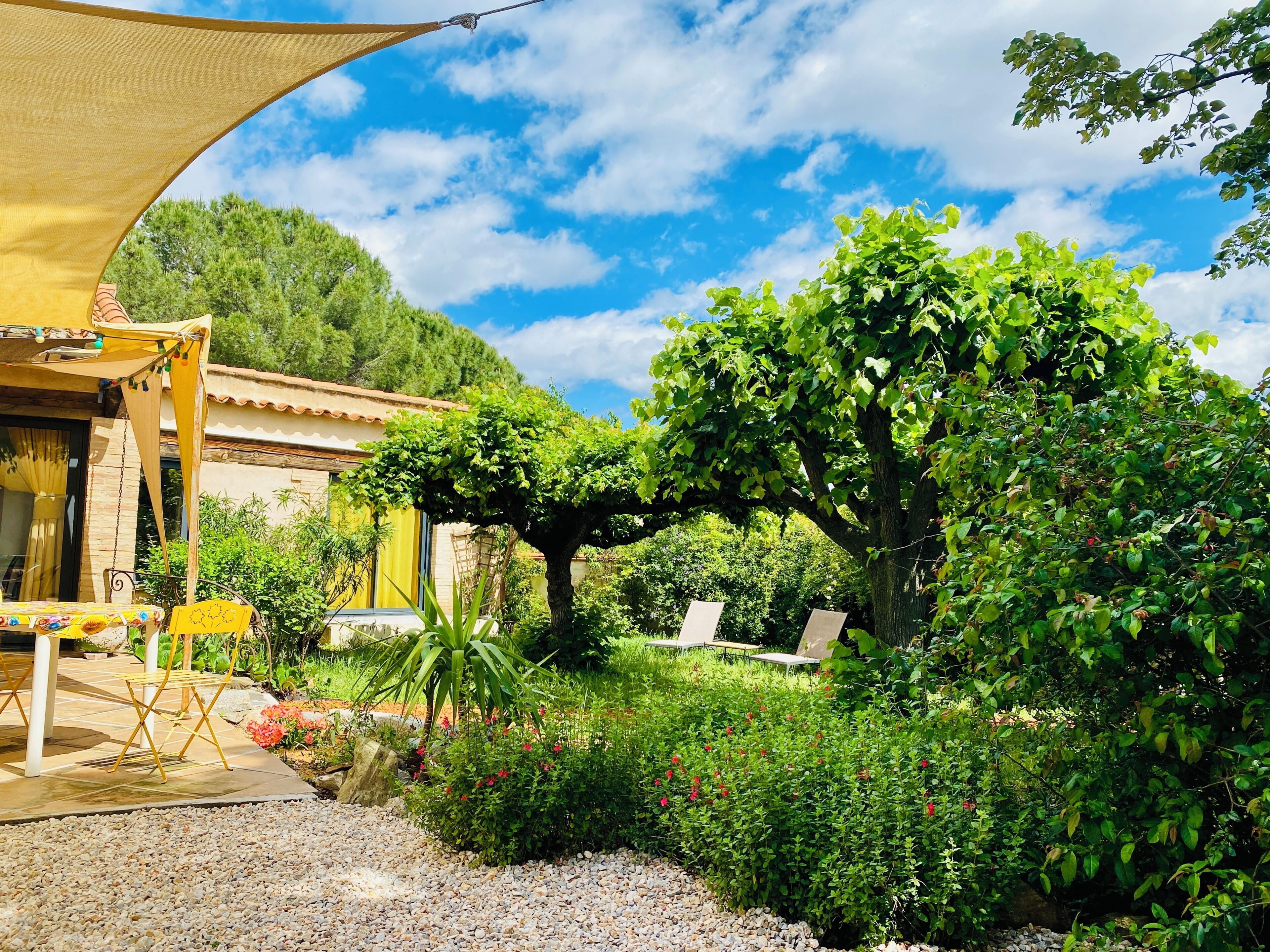A patio with outdoor furniture, a pergola, and a garden with various plants and a tree.