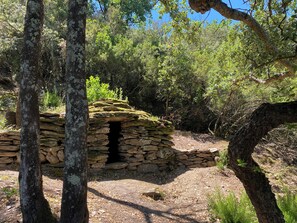 Une structure en pierre dotée d’une petite ouverture, entourée d’arbres et de végétation naturelle.