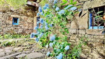 Un edificio de piedra con una ventana y una planta de flores azules.