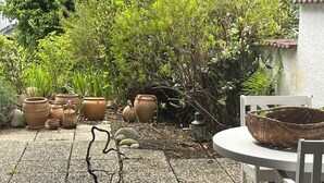 Eine Terrasse mit Tisch, Stühlen und Kübelpflanzen.