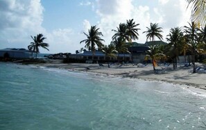 A beach with clear water, palm trees, and a building with a roof. - The Marina Suites (Saint francois)