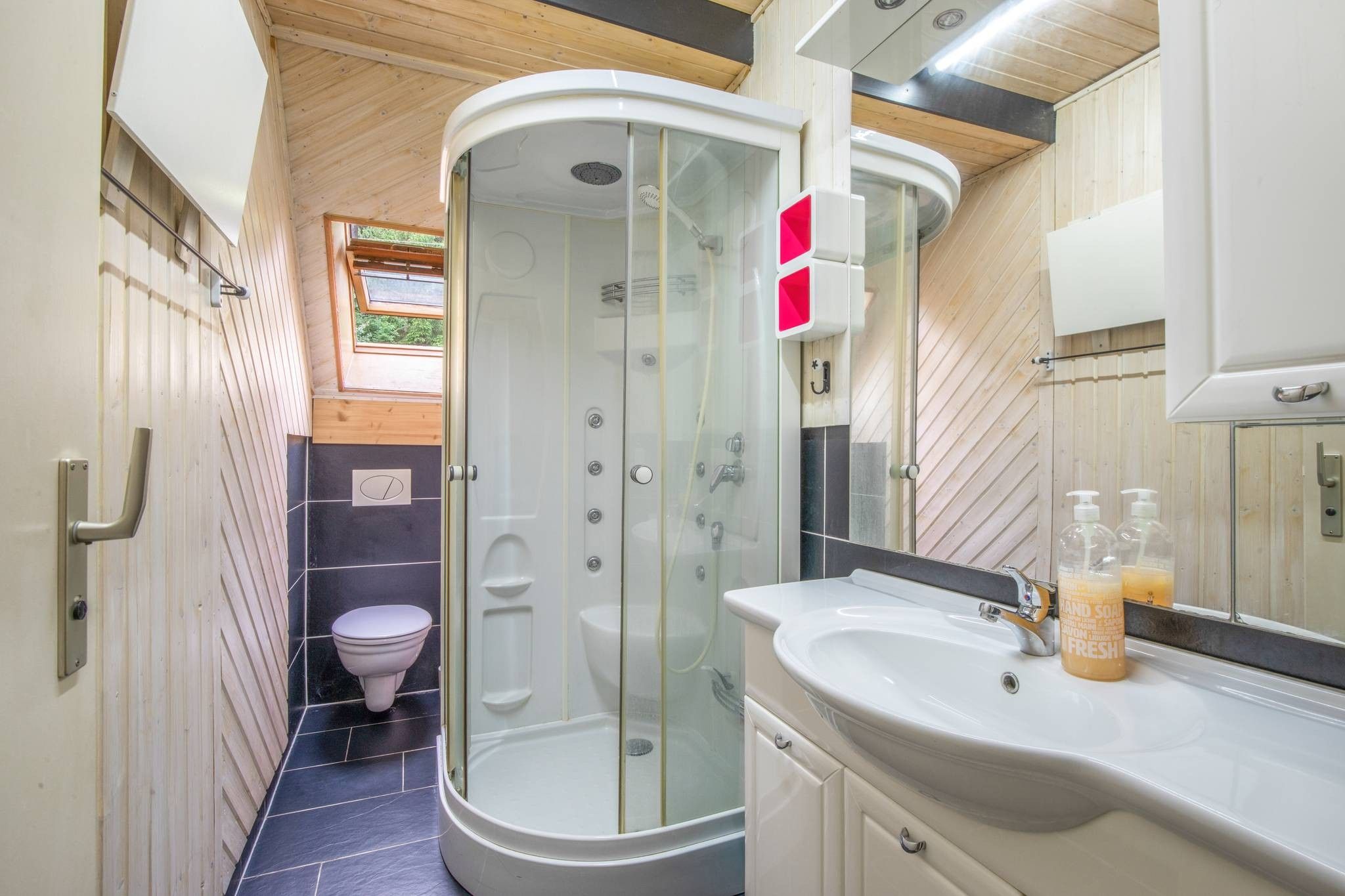 Shower, hair dryer, towels