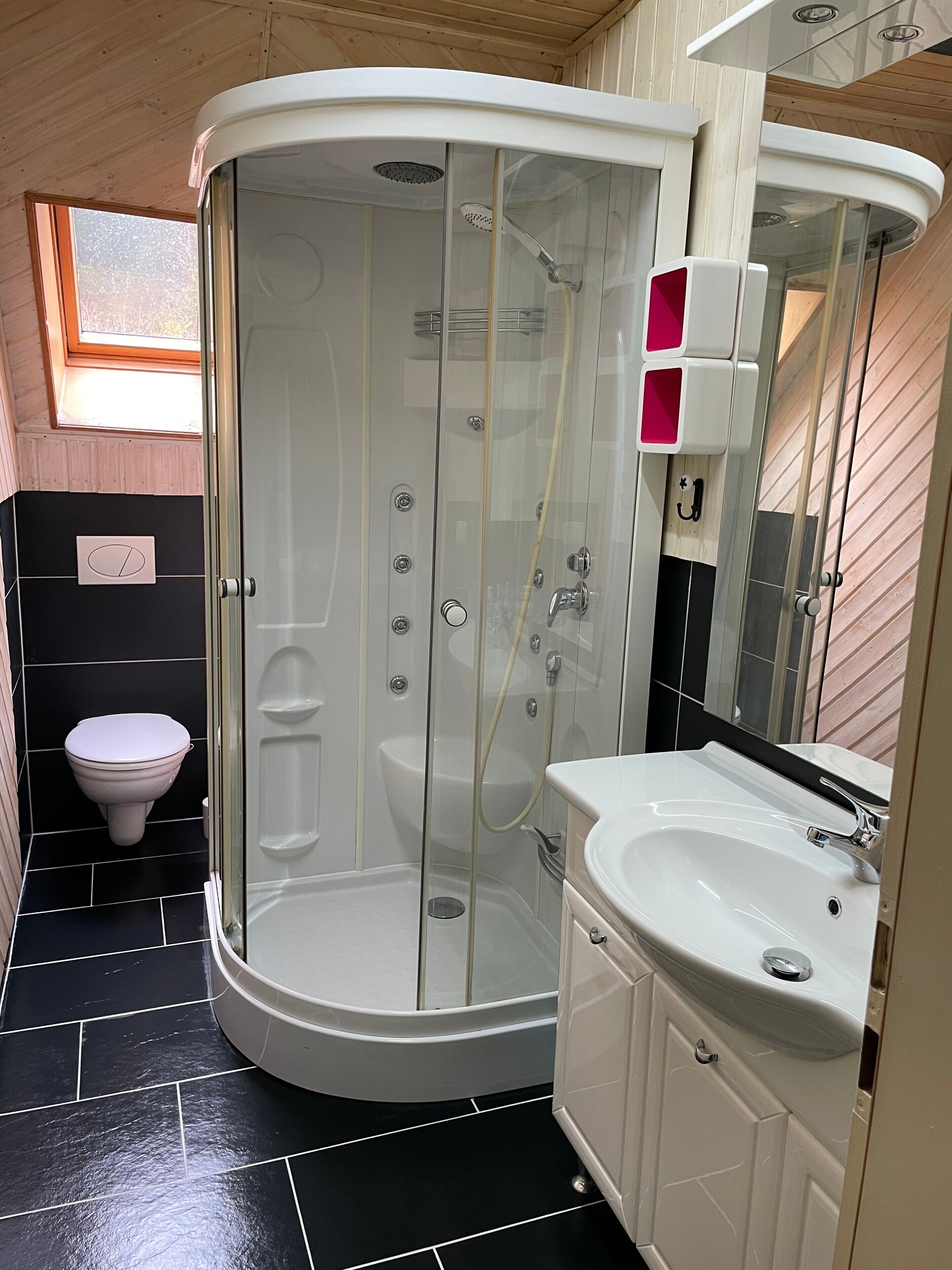 Shower, hair dryer, towels