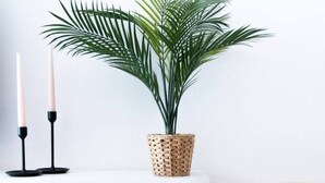 Une console blanche surmontée d’un panier en osier, de deux bougies et d’une plante en pot.