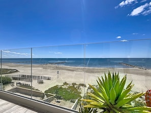 Ein Balkon mit Blick auf einen Strand, einem Holzzaun und einer Kakteepflanze.