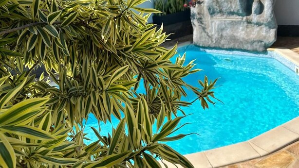 A pool with a stone waterfall feature and a plant with variegated leaves. - House with private pool, parking, AC - 4 guests (Saint-Louis)