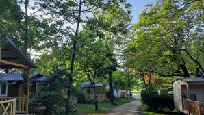 Eine Reihe Holzhütten mit einem Kiesweg, der durch ein bewaldetes Gebiet führt.