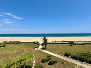 Blick auf einen Strand mit einem Weg zu einer Palme, feinem Sand und dem Meer.