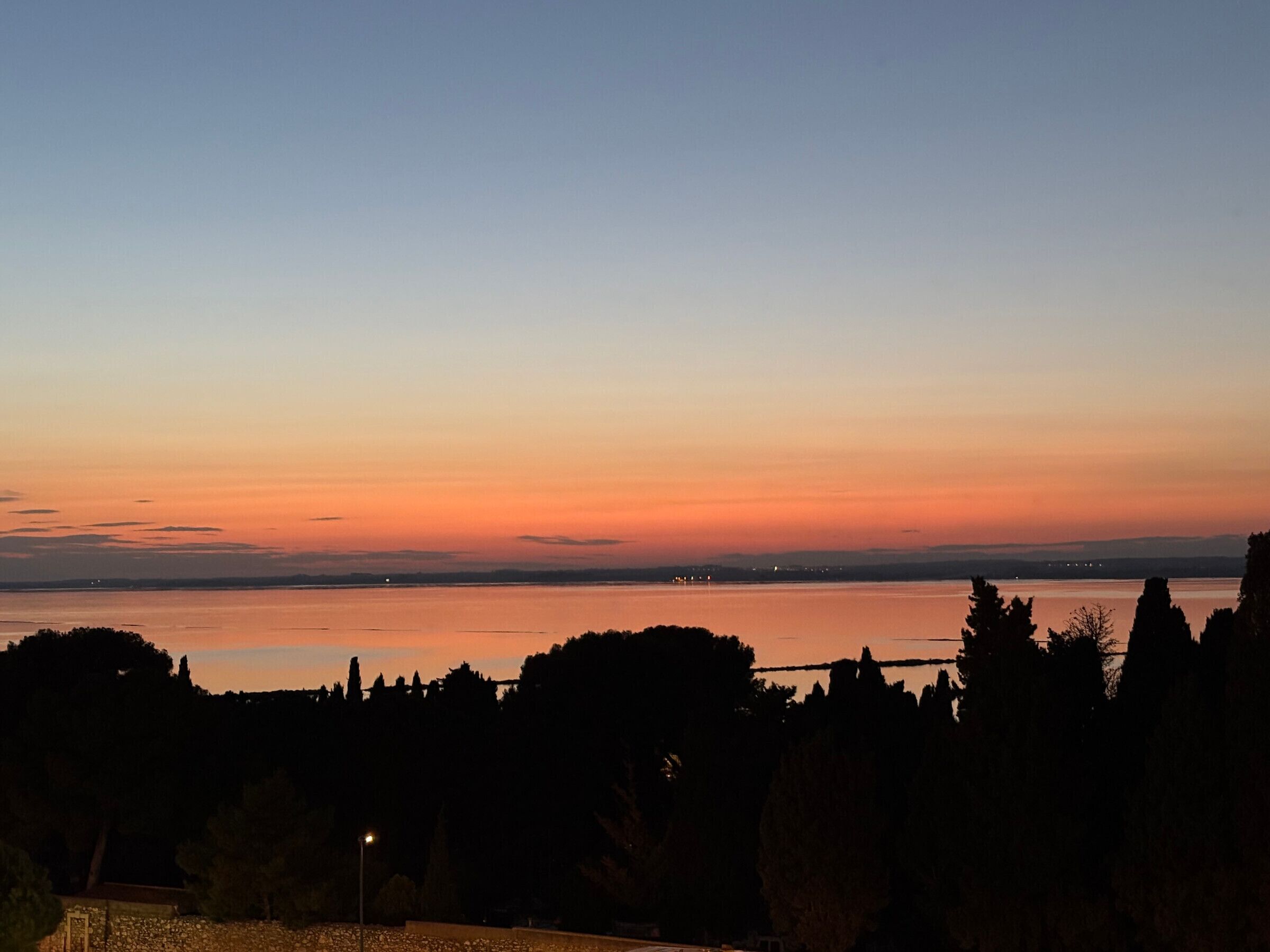 Vista d'un ponent sobre una massa d'aigua tranquil·la, amb siluetes d'arbres i la silueta d'una ciutat a la distància.