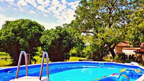 Une piscine avec un escalier, entourée d’une végétation luxuriante et sous un ciel dégagé.