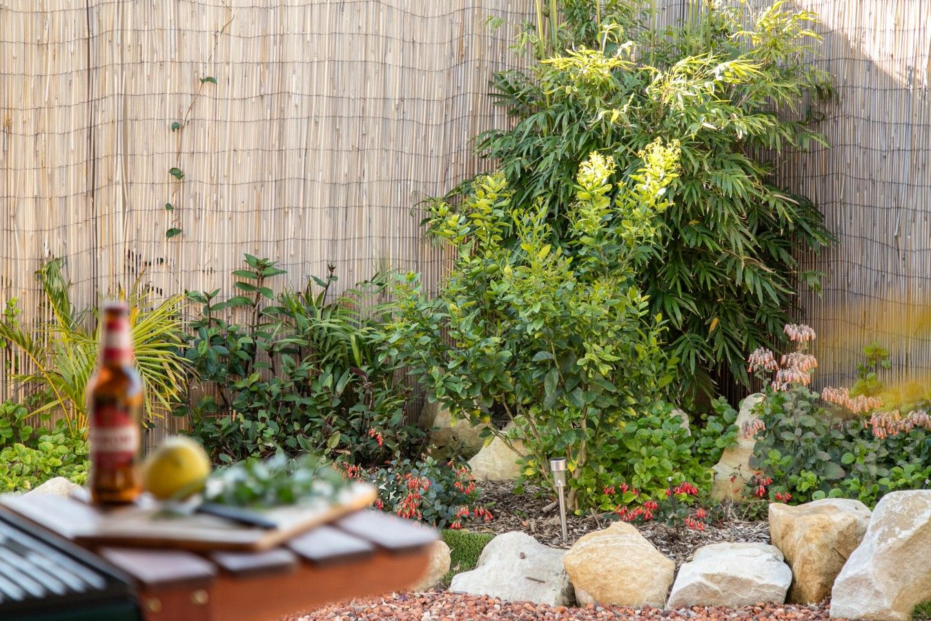 A garden with a variety of plants, a bamboo fence, and a rock garden.