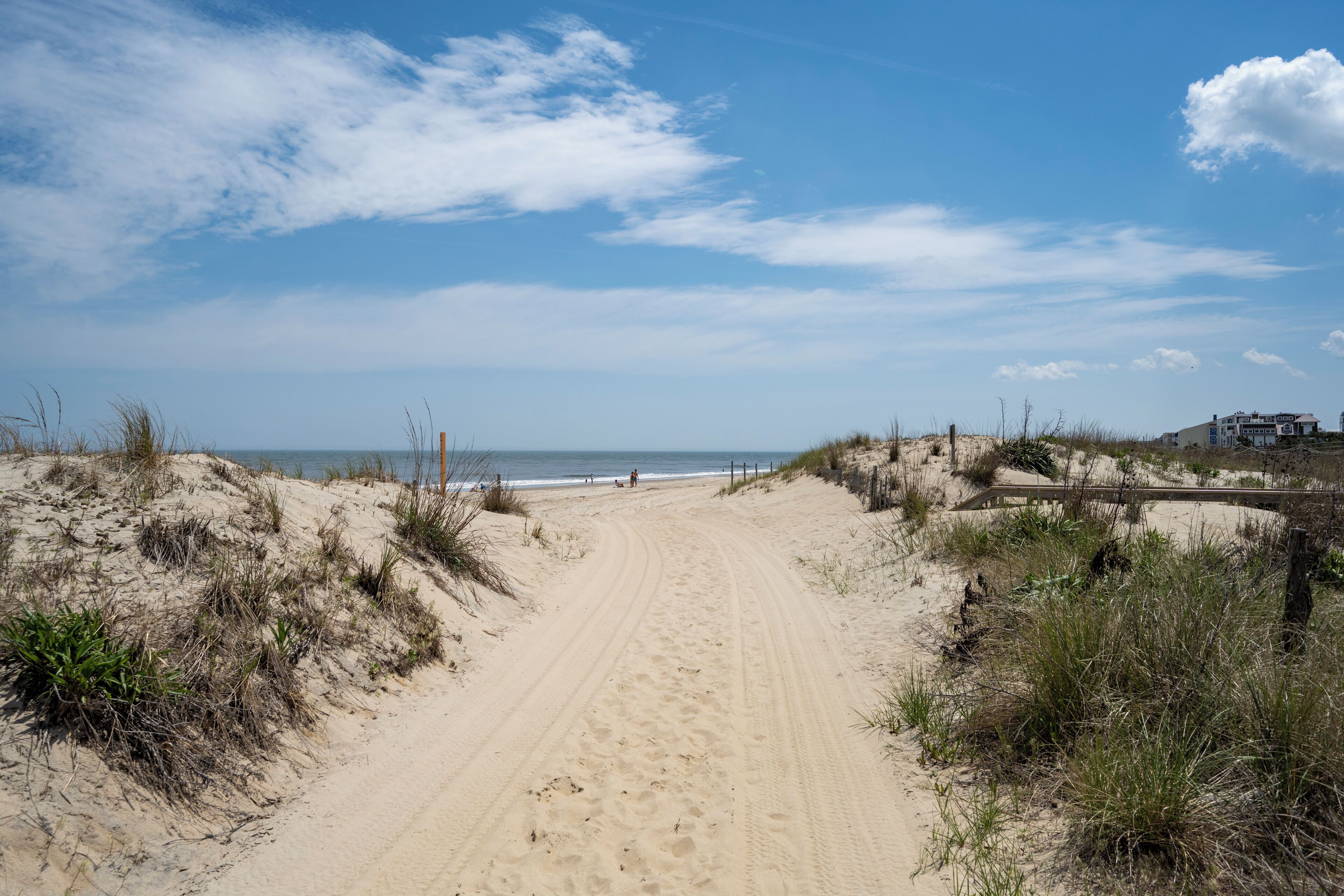Nära stranden