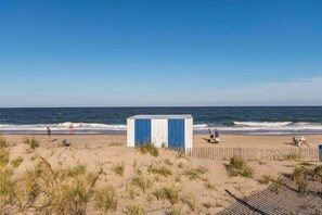 Strand