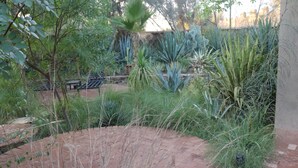 Un jardín con diversas plantas, un camino de ladrillos y un banco de metal.