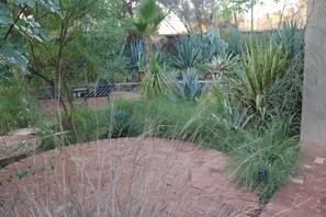 Ein Garten mit verschiedenen Pflanzen, einem Pflasterweg und einer Metallbank.