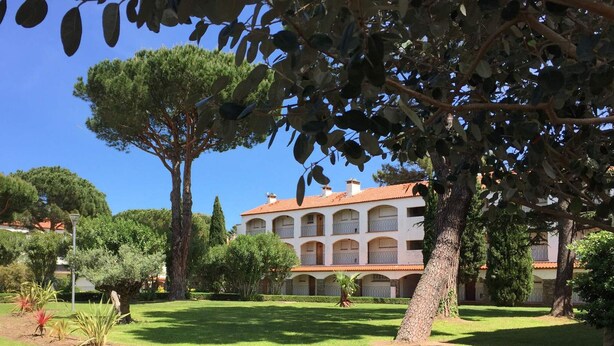 Un cortile con un grande albero, un edificio con numerosi balconi e un prato curato.