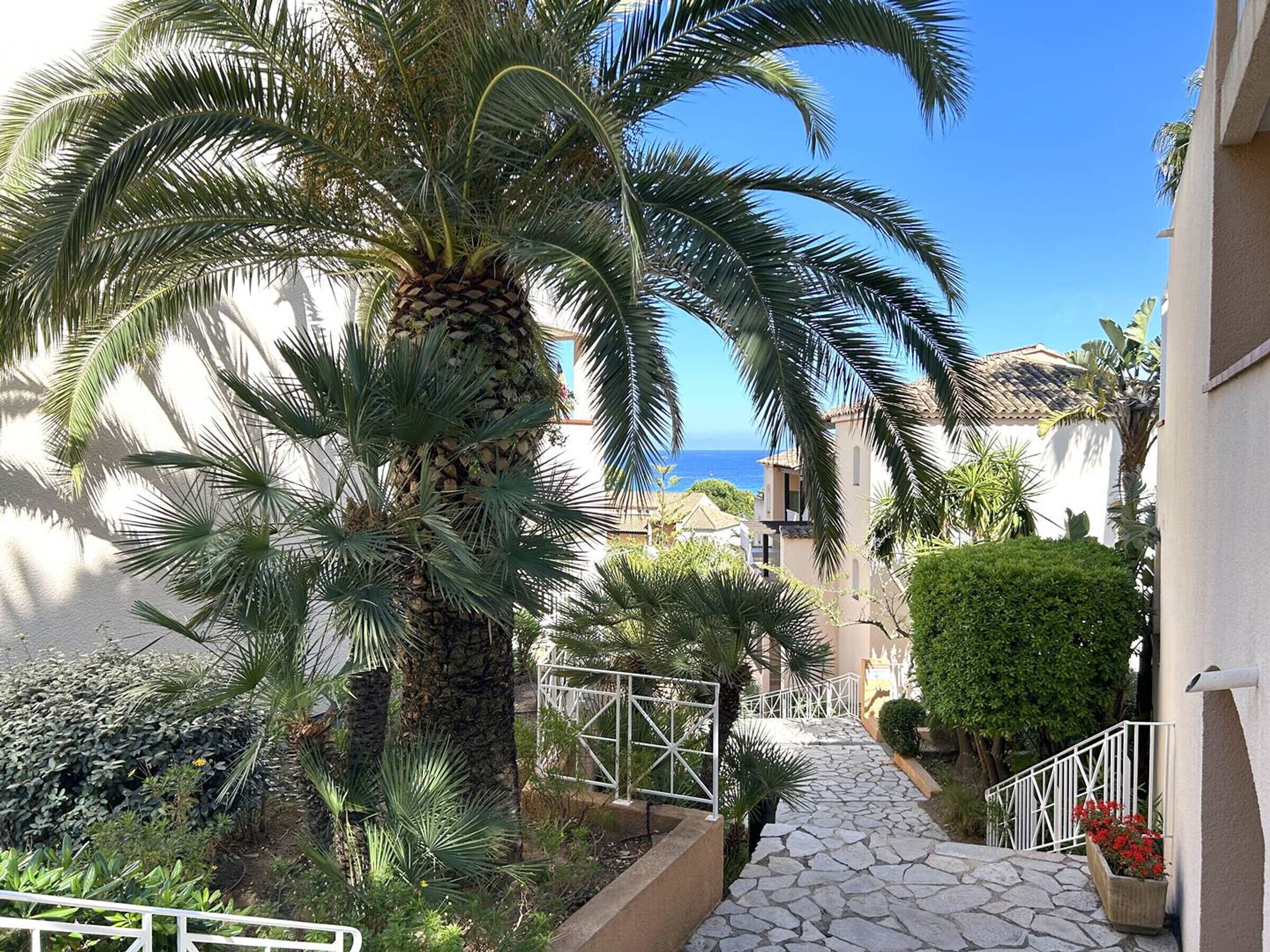 A narrow stone pathway leading to a building with a white railing, surrounded by lush greenery and palm trees.