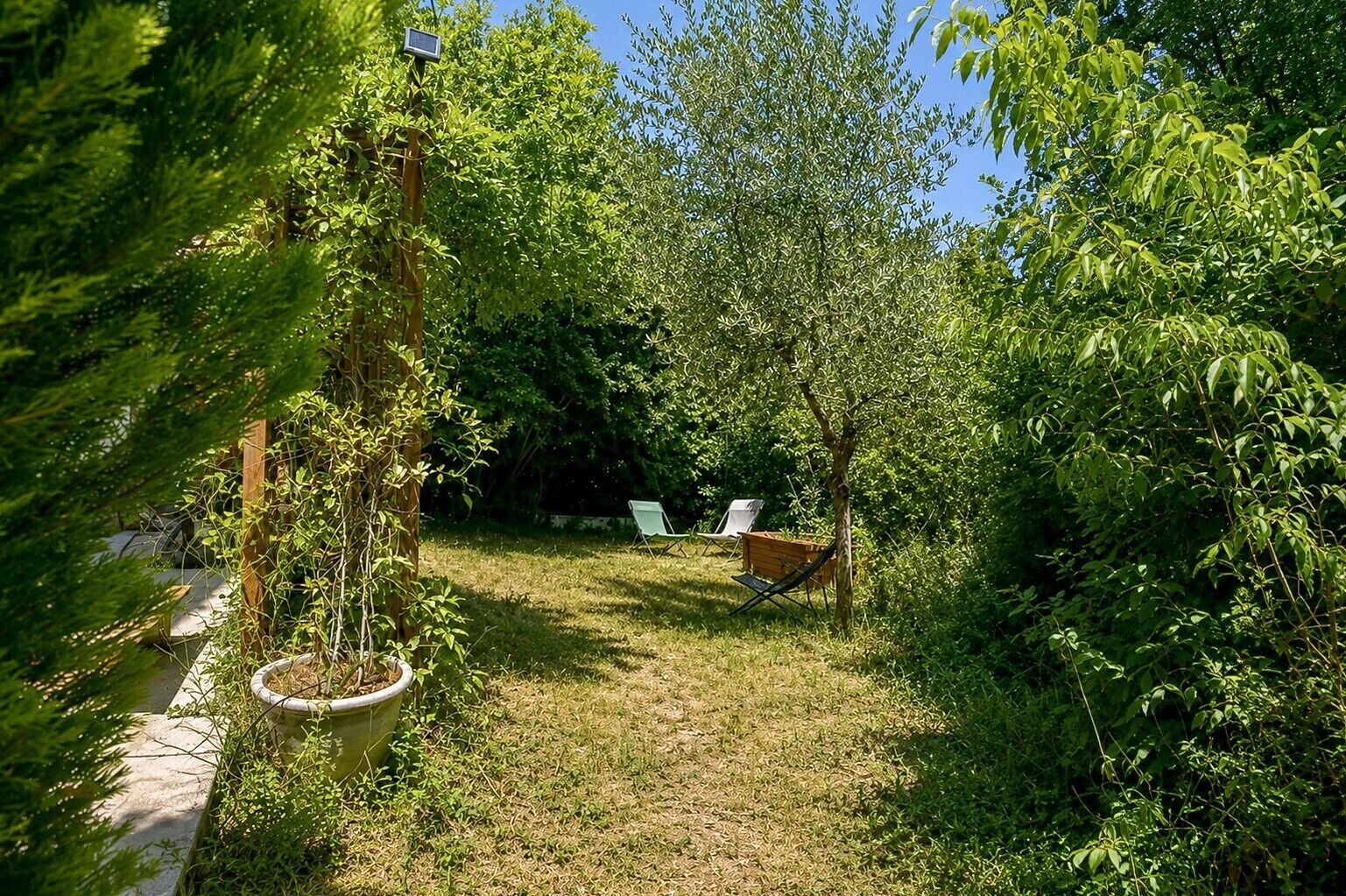 Un jardin avec un sentier, un banc en bois et une petite table.