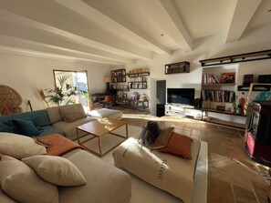A spacious living room with a sofa, coffee table, and a television. There are bookshelves and a fireplace. - Charming house in the heart of the medieval village of Peillon - between Nice and Monaco. (Peillon)