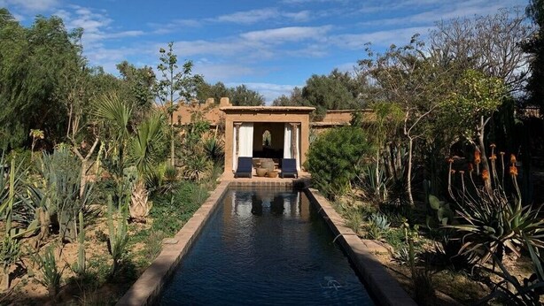 Ein Pool mit Terrassenbereich, umgeben von Wüstenpflanzen.