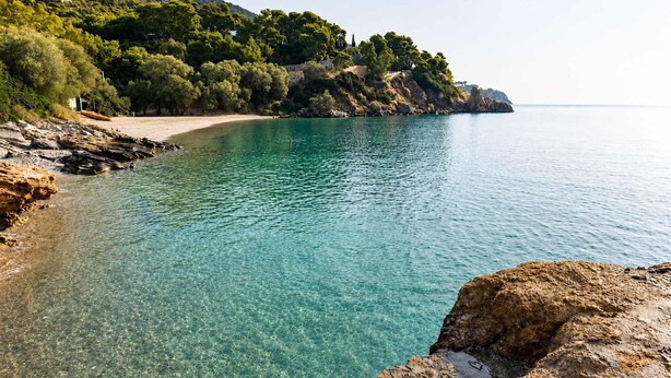 A coastal landscape with clear water, rocky shore, and dense greenery.