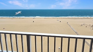 Ein Strand mit einem Volleyballnetz, einer fliegenden Möwe und blauem Himmel.
