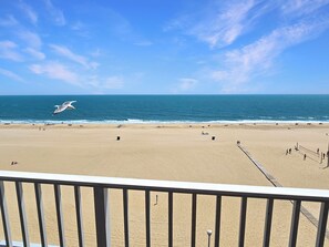 Ein Strand mit einem Volleyballnetz, einer fliegenden Möwe und blauem Himmel.