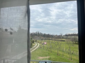 Vista a través de una ventana con cielo despejado y un sendero que lleva a un campo con árboles.