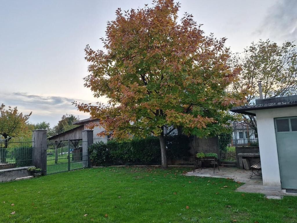 Family Cottage, Balcony, Courtyard View | Property grounds