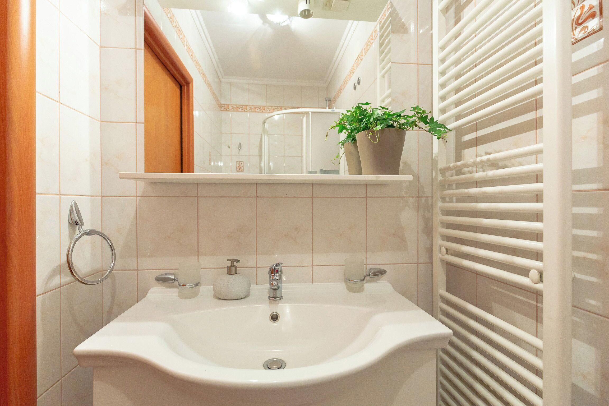 Un baño con lavamanos, espejo, perchero para toallas y una planta en maceta.
