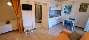 Iron/ironing board, Internet, bed sheets - Le Paille en Queue : Studio with sea view and saltwater swimming pool, quiet garden with trees (Saint-Leu)
