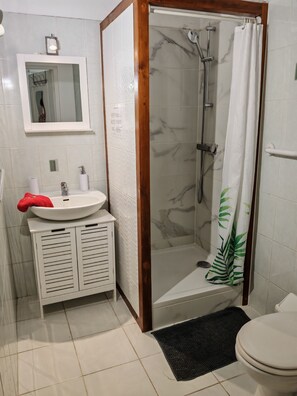 Shower, hair dryer, towels - Le Paille en Queue : Studio with sea view and saltwater swimming pool, quiet garden with trees (Saint-Leu)