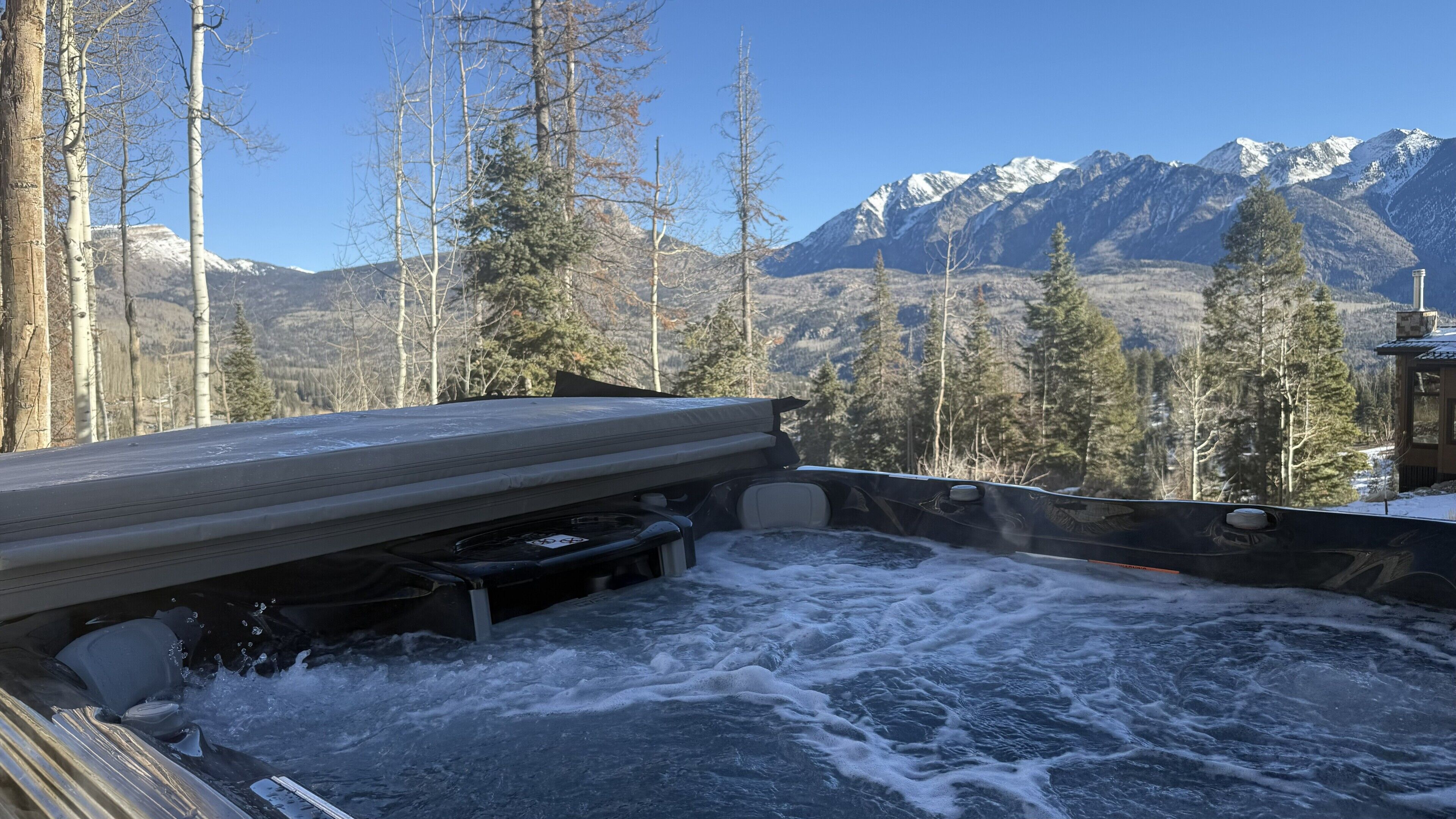 Un jacuzzi con vista a montañas nevadas y árboles.