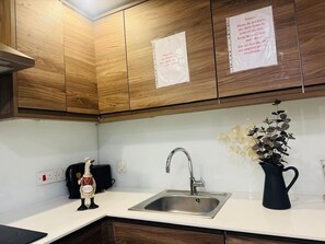 A kitchen with wooden cabinets, a stainless steel sink, a black pitcher, and a decorative plant. - Spacious apartment with private patio (Greater London)