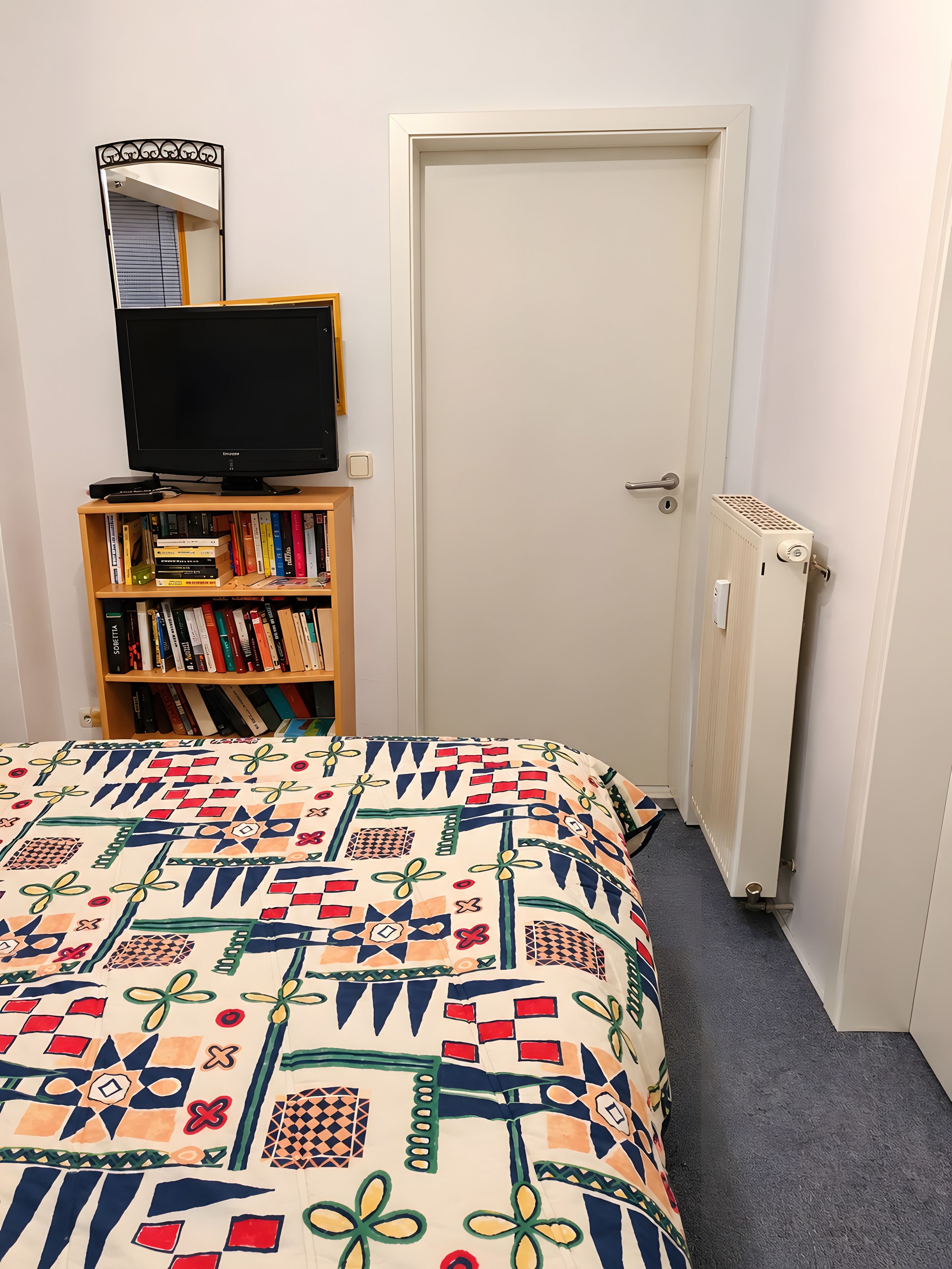 Una camera da letto con un letto, una libreria, un televisore, una porta e un termosifone.