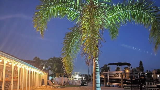 A swimming pool with a palm tree, a covered patio, and a dock. - The Gulf Oasis-
 Pool, hot tub, boat ramp, floating dock, kayaks, waterfront (Hudson)
